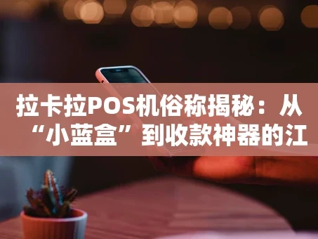 重庆拉卡拉POS机俗称揭秘：从“小蓝盒”到收款神器的江湖名号