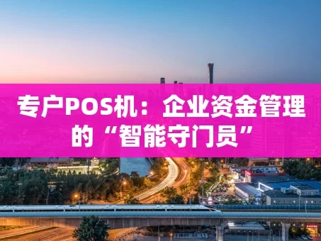 重庆专户POS机：企业资金管理的“智能守门员”
