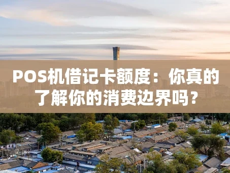 重庆POS机借记卡额度：你真的了解你的消费边界吗？