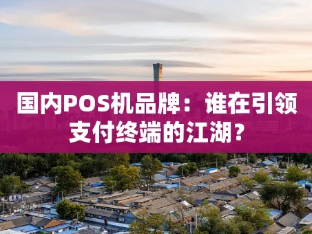 重庆国内POS机品牌：谁在引领支付终端的江湖？