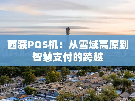 重庆西藏POS机：从雪域高原到智慧支付的跨越