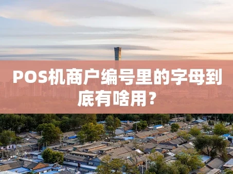 重庆POS机商户编号里的字母到底有啥用？