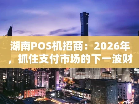 重庆湖南POS机招商：2026年，抓住支付市场的下一波财富浪潮！