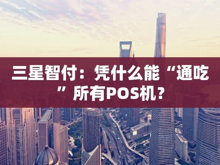 重庆三星智付：凭什么能“通吃”所有POS机？