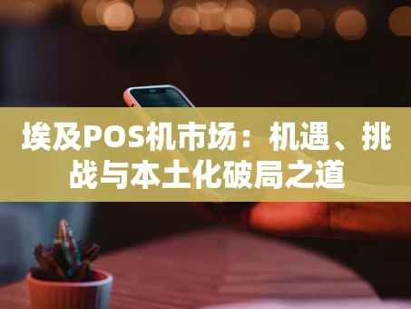 重庆埃及POS机市场：机遇、挑战与本土化破局之道
