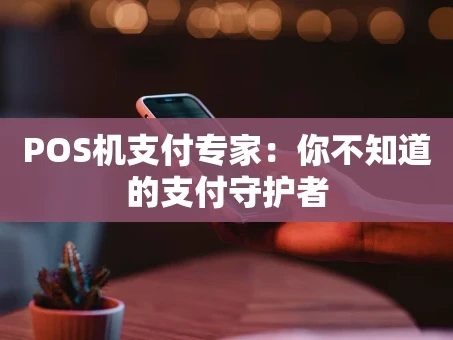 重庆POS机支付专家：你不知道的支付守护者