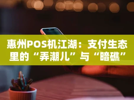 重庆惠州POS机江湖：支付生态里的“弄潮儿”与“暗礁”