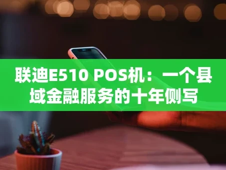 重庆联迪E510 POS机：一个县域金融服务的十年侧写