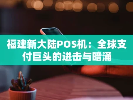 重庆福建新大陆POS机：全球支付巨头的进击与暗涌