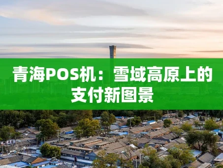 重庆青海POS机：雪域高原上的支付新图景