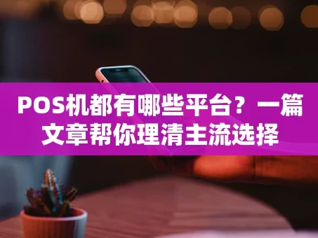 重庆POS机都有哪些平台？一篇文章帮你理清主流选择