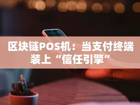 重庆区块链POS机：当支付终端装上“信任引擎”
