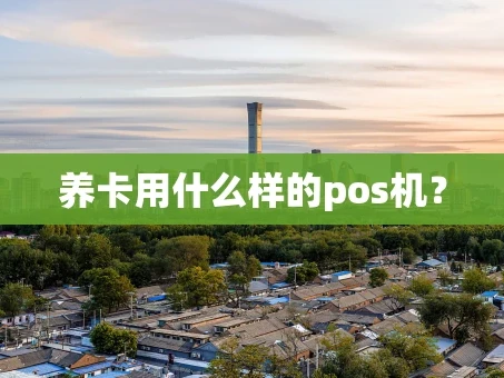 重庆养卡用什么样的pos机？