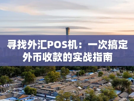 重庆寻找外汇POS机：一次搞定外币收款的实战指南