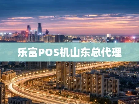 重庆乐富POS机山东总代理