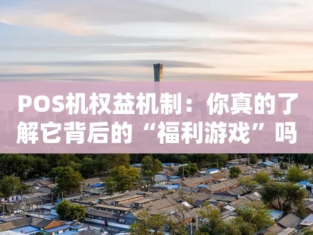 重庆POS机权益机制：你真的了解它背后的“福利游戏”吗？