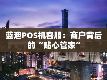 重庆蓝迪POS机客服：商户背后的“贴心管家”