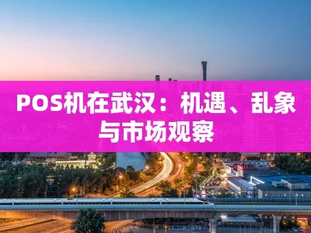 重庆POS机在武汉：机遇、乱象与市场观察
