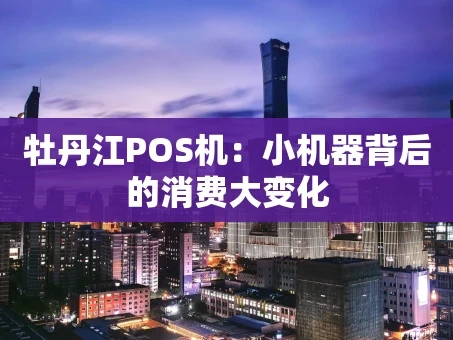 重庆牡丹江POS机：小机器背后的消费大变化