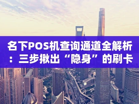 重庆名下POS机查询通道全解析：三步揪出“隐身”的刷卡设备