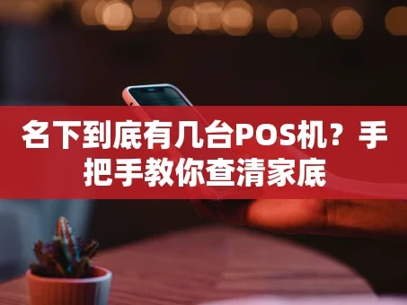 重庆名下到底有几台POS机？手把手教你查清家底