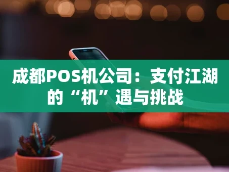 重庆成都POS机公司：支付江湖的“机”遇与挑战