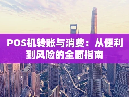 重庆POS机转账与消费：从便利到风险的全面指南