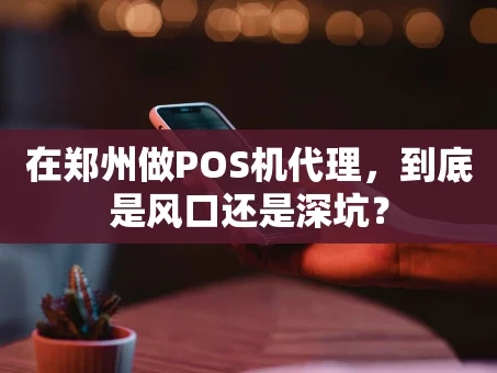 重庆在郑州做POS机代理，到底是风口还是深坑？