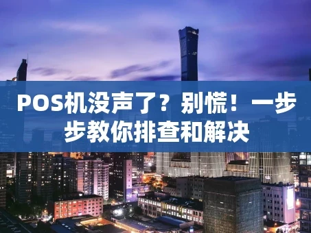 重庆POS机没声了？别慌！一步步教你排查和解决