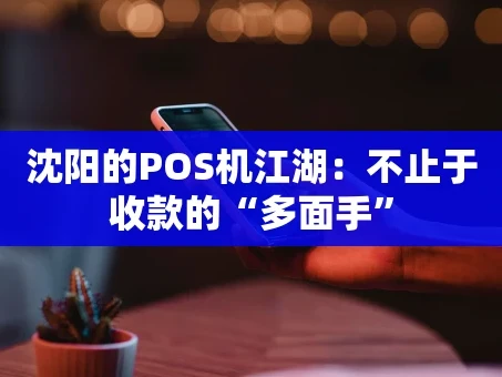重庆沈阳的POS机江湖：不止于收款的“多面手”