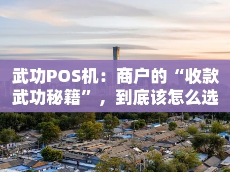 重庆武功POS机：商户的“收款武功秘籍”，到底该怎么选？