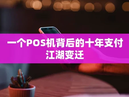 重庆一个POS机背后的十年支付江湖变迁