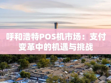 重庆呼和浩特POS机市场：支付变革中的机遇与挑战