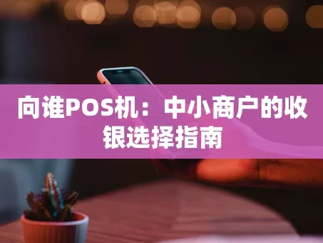 重庆向谁POS机：中小商户的收银选择指南