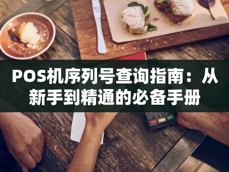 重庆POS机序列号查询指南：从新手到精通的必备手册