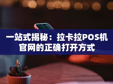 重庆一站式揭秘：拉卡拉POS机官网的正确打开方式