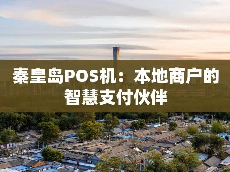 重庆秦皇岛POS机：本地商户的智慧支付伙伴
