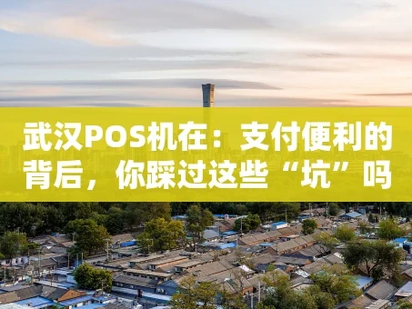 重庆武汉POS机在：支付便利的背后，你踩过这些“坑”吗？