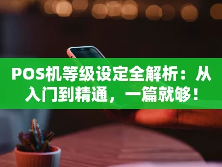 重庆POS机等级设定全解析：从入门到精通，一篇就够！