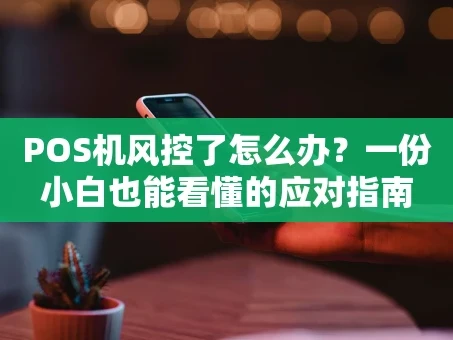 重庆POS机风控了怎么办？一份小白也能看懂的应对指南