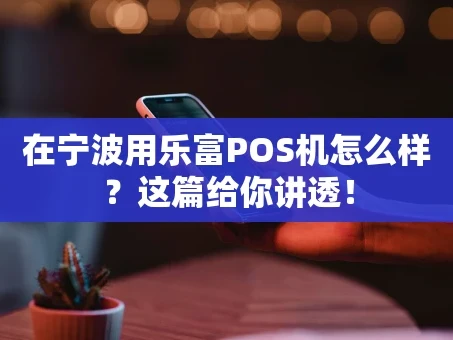 重庆在宁波用乐富POS机怎么样？这篇给你讲透！