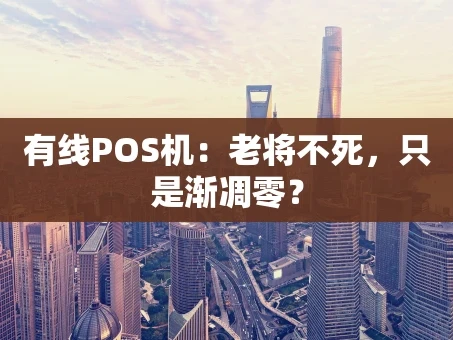 重庆有线POS机：老将不死，只是渐凋零？