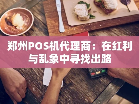 重庆郑州POS机代理商：在红利与乱象中寻找出路