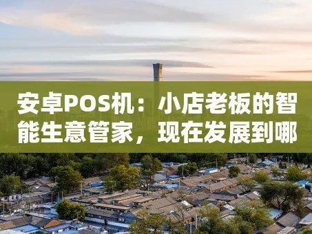 重庆安卓POS机：小店老板的智能生意管家，现在发展到哪一步了？