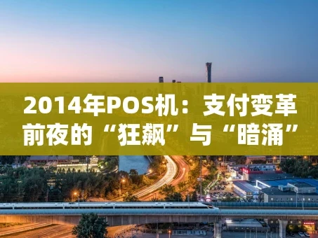 重庆2014年POS机：支付变革前夜的“狂飙”与“暗涌”