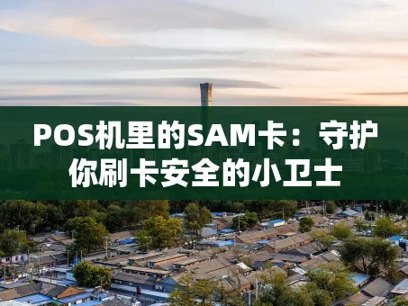 重庆POS机里的SAM卡：守护你刷卡安全的小卫士