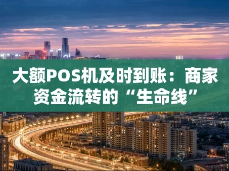 重庆大额POS机及时到账：商家资金流转的“生命线”
