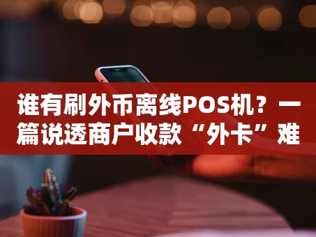 重庆谁有刷外币离线POS机？一篇说透商户收款“外卡”难题的指南