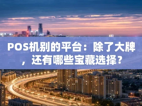 重庆POS机别的平台：除了大牌，还有哪些宝藏选择？
