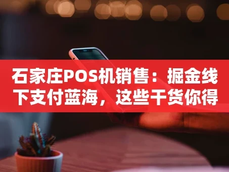 重庆石家庄POS机销售：掘金线下支付蓝海，这些干货你得知道